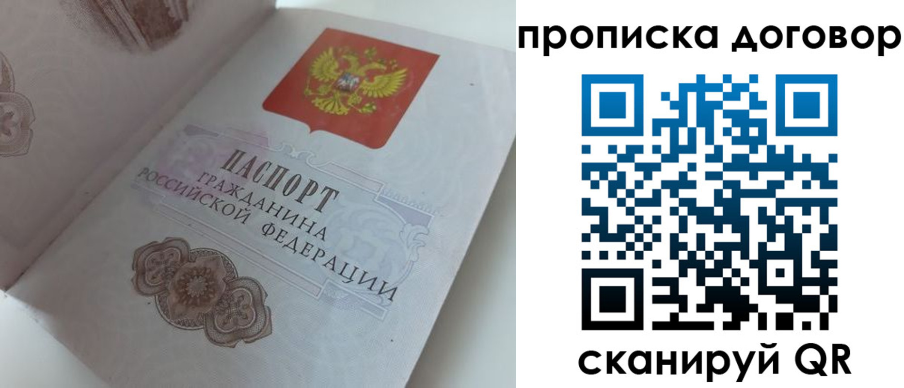 прописка поиск в Емве